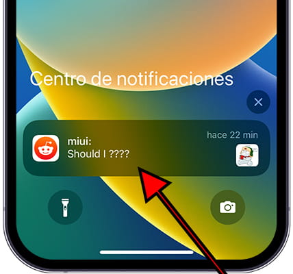 Notificación iOS