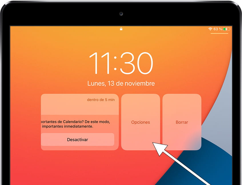 Opciones notificación iOS