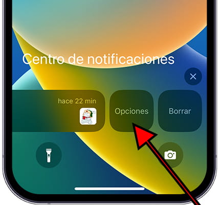 Opciones notificación iOS