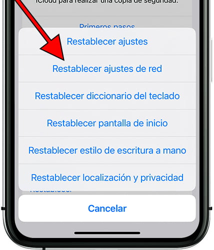 Botón restablecer ajustes de red iPhone