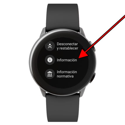 Información WearOS