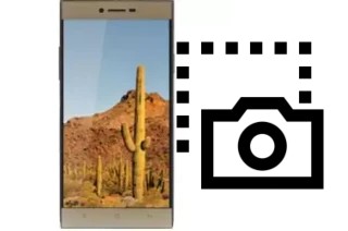 Captura de pantalla en VC Cactus