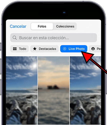 Seleccionar Live Photo en iPhone