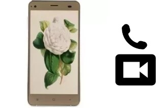 Hacer videollamadas con un VC Camellia II