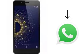 Cómo instalar WhatsApp en un 10.or D2