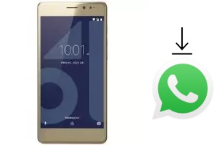 Cómo instalar WhatsApp en un 10.or E