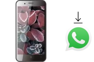 Cómo instalar WhatsApp en un 4Good S451M 4G