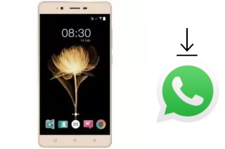 Cómo instalar WhatsApp en un Accent Speed X2