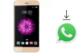 Cómo instalar WhatsApp en un Accent Speed Y2