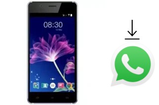 Cómo instalar WhatsApp en un Accent Xeon S