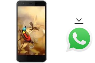 Cómo instalar WhatsApp en un AccessGo Gotune 3