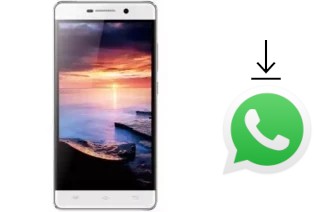 Cómo instalar WhatsApp en un AccessGo Gotune 3I