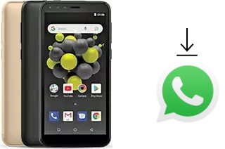 Cómo instalar WhatsApp en un Allview A10 Lite 2019