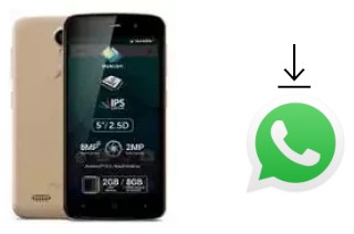 Cómo instalar WhatsApp en un Allview P6 Plus