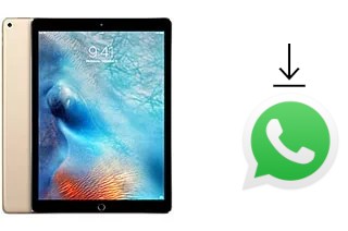 Cómo instalar WhatsApp en un Apple iPad Pro