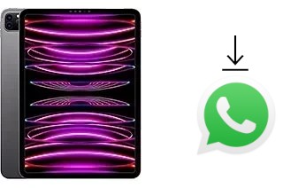 Cómo instalar WhatsApp en un Apple iPad Pro 11 (2022)