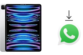 Cómo instalar WhatsApp en un Apple iPad Pro 12.9 (2022)