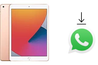 Cómo instalar WhatsApp en un Apple iPad 10.2 (2020)