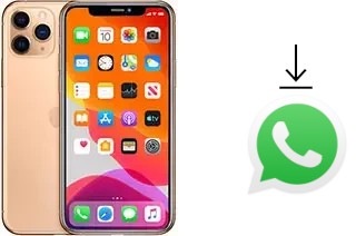 Cómo instalar WhatsApp en un Apple iPhone 11 Pro