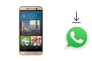 Cómo instalar WhatsApp en un Attila M8