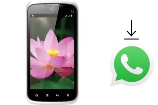 Cómo instalar WhatsApp en un Avio Sen S3