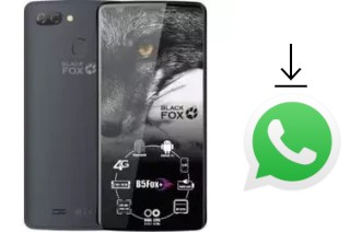 Cómo instalar WhatsApp en un Black Fox B5