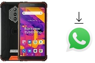 Cómo instalar WhatsApp en un Blackview BV6600 Pro