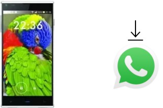 Cómo instalar WhatsApp en un Blackview DM550