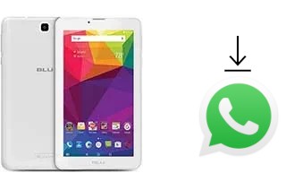 Cómo instalar WhatsApp en un BLU Touch Book M7