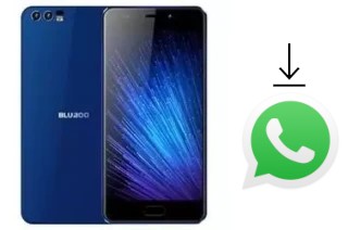 Cómo instalar WhatsApp en un Bluboo D2 Pro