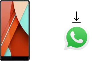 Cómo instalar WhatsApp en un Bluboo D5 Pro