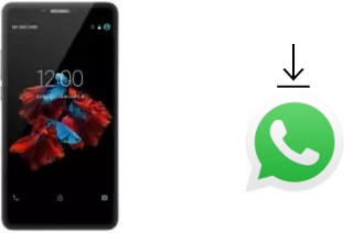 Cómo instalar WhatsApp en un Bluboo Dual