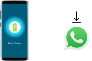 Cómo instalar WhatsApp en un Bluboo S8 Lite