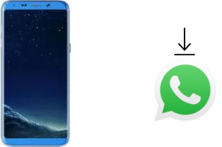 Cómo instalar WhatsApp en un Bluboo S8+