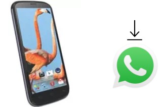 Cómo instalar WhatsApp en un Celkon A119 Signature HD