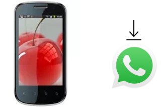 Cómo instalar WhatsApp en un Celkon A19