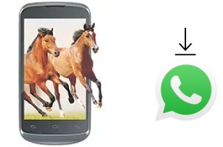 Cómo instalar WhatsApp en un Celkon A20