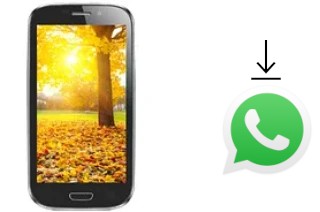 Cómo instalar WhatsApp en un Celkon A220