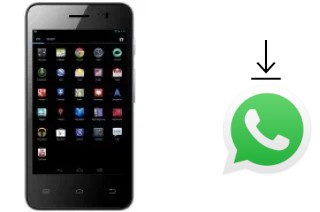 Cómo instalar WhatsApp en un Celkon A64