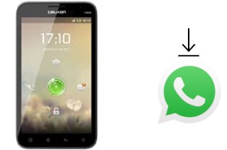 Cómo instalar WhatsApp en un Celkon A900