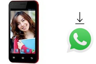 Cómo instalar WhatsApp en un Celkon Campus Whizz Q42