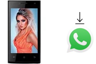 Cómo instalar WhatsApp en un Celkon Campus Crown Q40