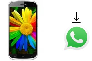 Cómo instalar WhatsApp en un Celkon Q470