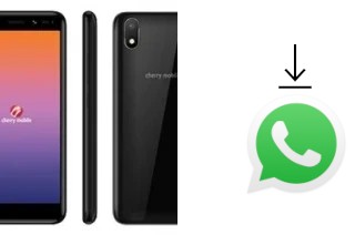 Cómo instalar WhatsApp en un Cherry Mobile Flare S7 Mini