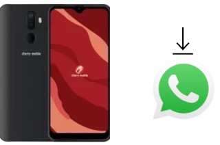 Cómo instalar WhatsApp en un Cherry Mobile Flare Y20