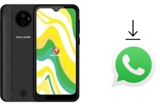 Cómo instalar WhatsApp en un Cherry Mobile Flare Y5