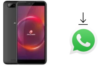 Cómo instalar WhatsApp en un Cherry Mobile Flare Y6 Pro