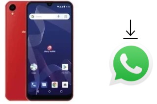 Cómo instalar WhatsApp en un Cherry Mobile Flare Y7