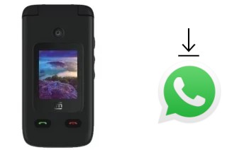 Cómo instalar WhatsApp en un Cloud Mobile Mist