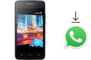 Cómo instalar WhatsApp en un Colorovo Citytone Lite